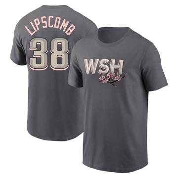 Men's Washington Nationals Trey Lipscomb ＃38 2022 City Connect Name & Number T-Shirt - Gray